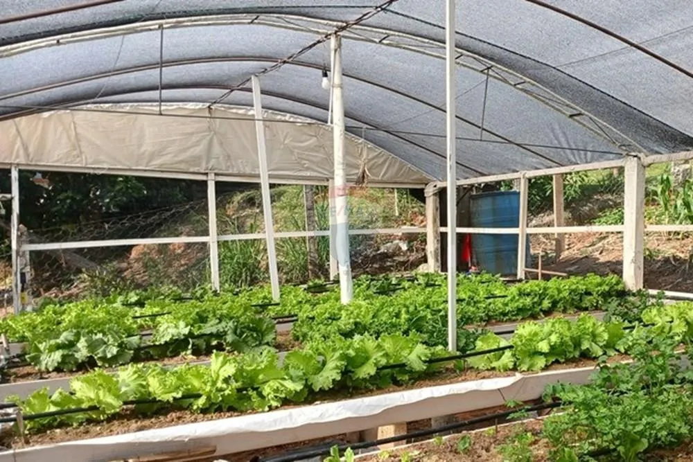Chácara à venda de 895 m² em Pinhalzinho, SP, Brasil