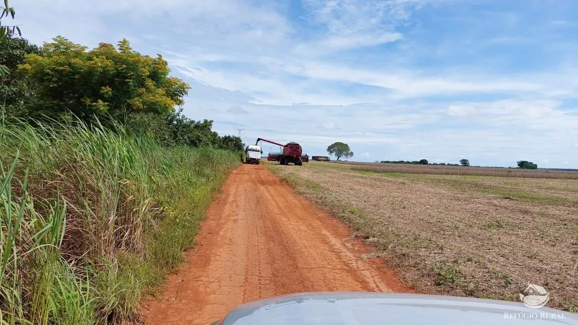 Fazenda à venda de 1.597 ha em Figueirópolis, TO, Brasil