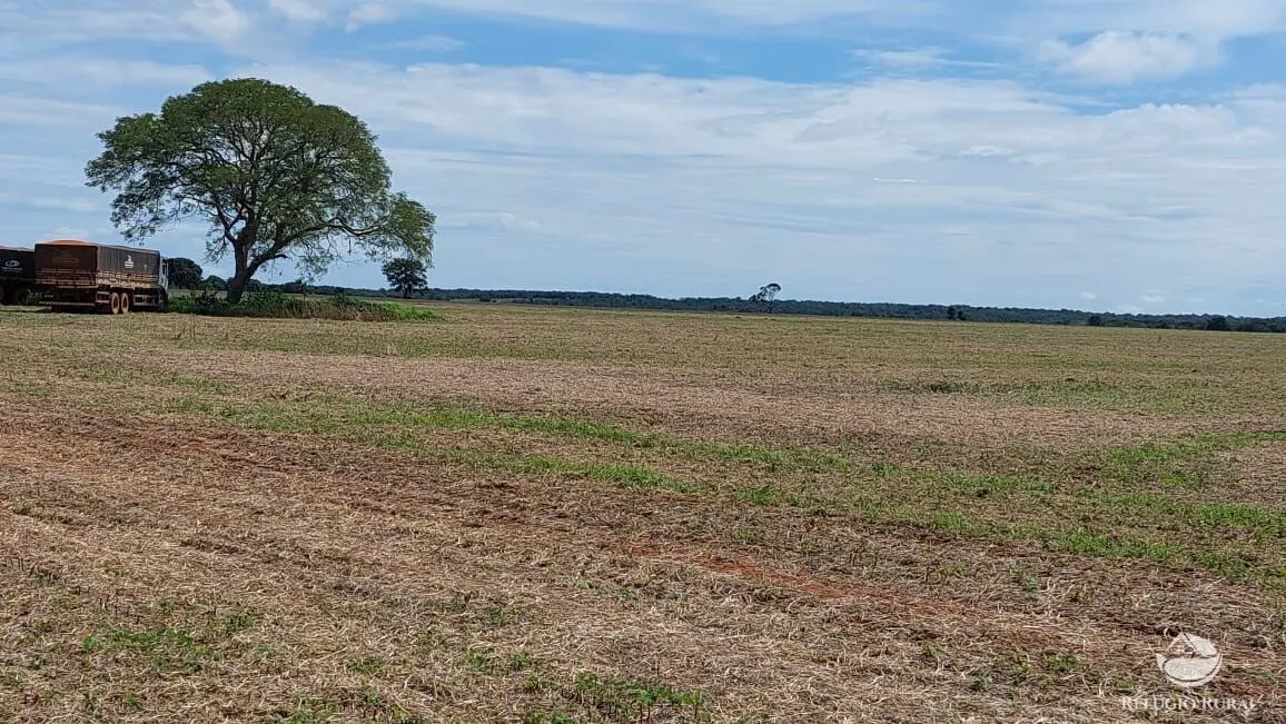 Fazenda à venda de 1.597 ha em Figueirópolis, TO, Brasil