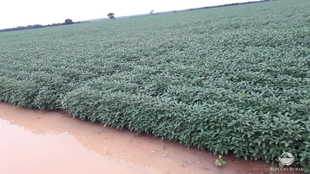 Fazenda à venda de 1.597 ha em Figueirópolis, TO, Brasil