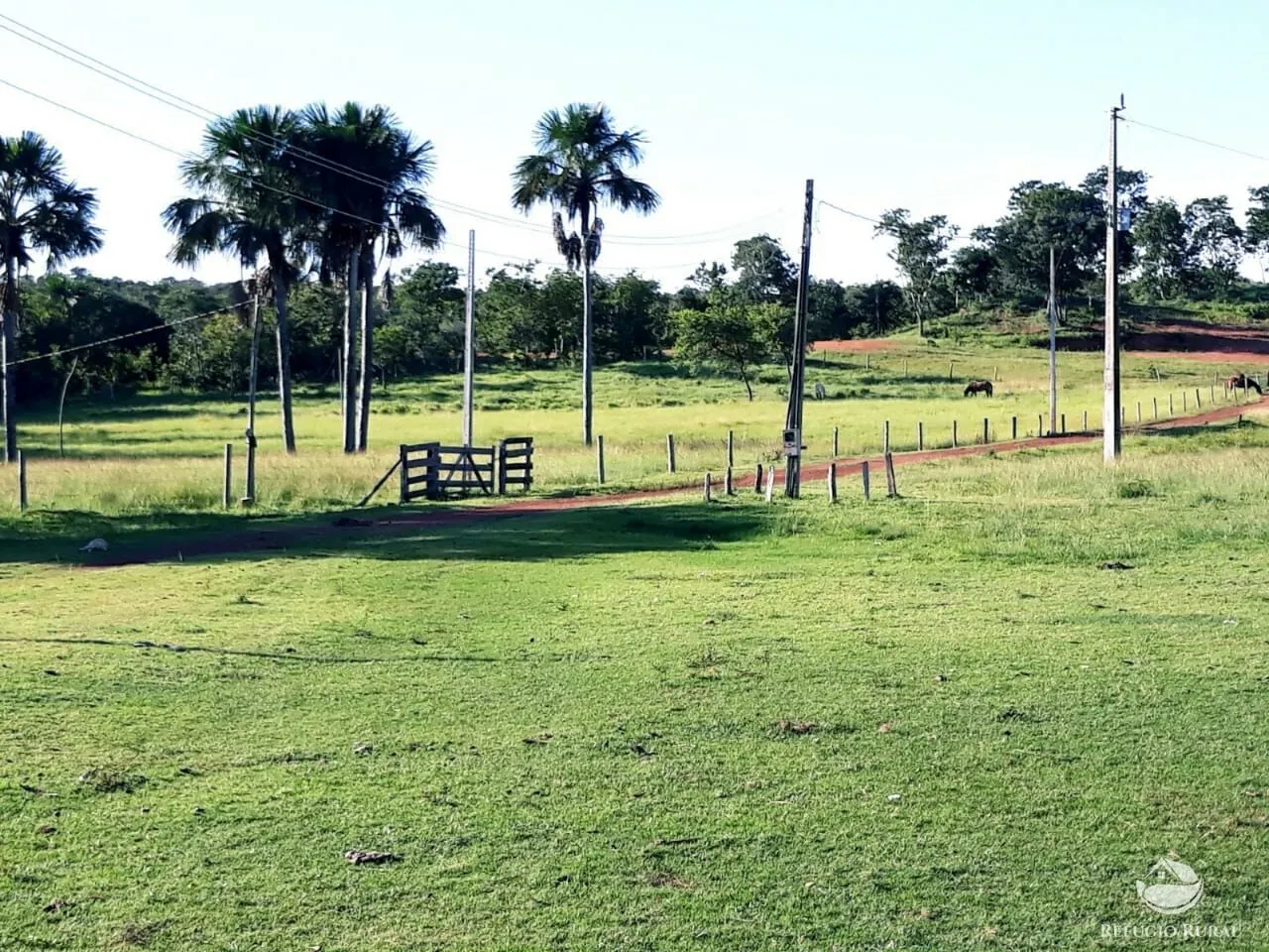Fazenda à venda de 1.597 ha em Figueirópolis, TO, Brasil