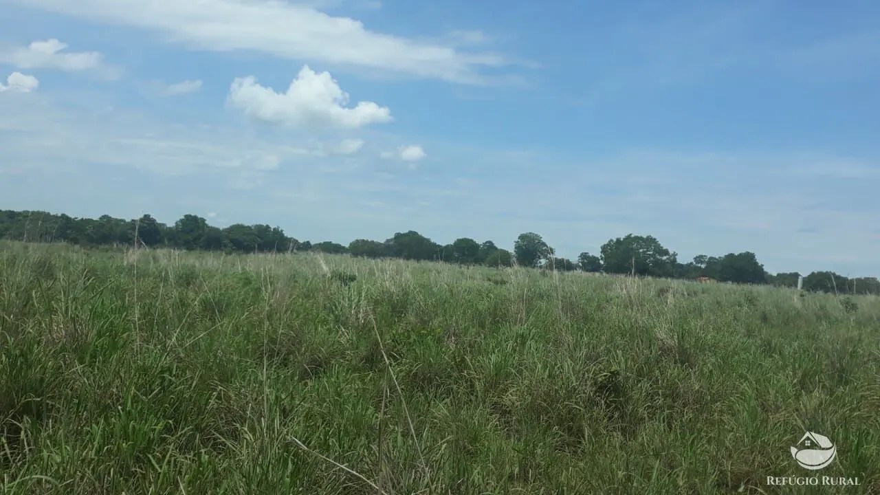 Fazenda à venda de 1.597 ha em Figueirópolis, TO, Brasil