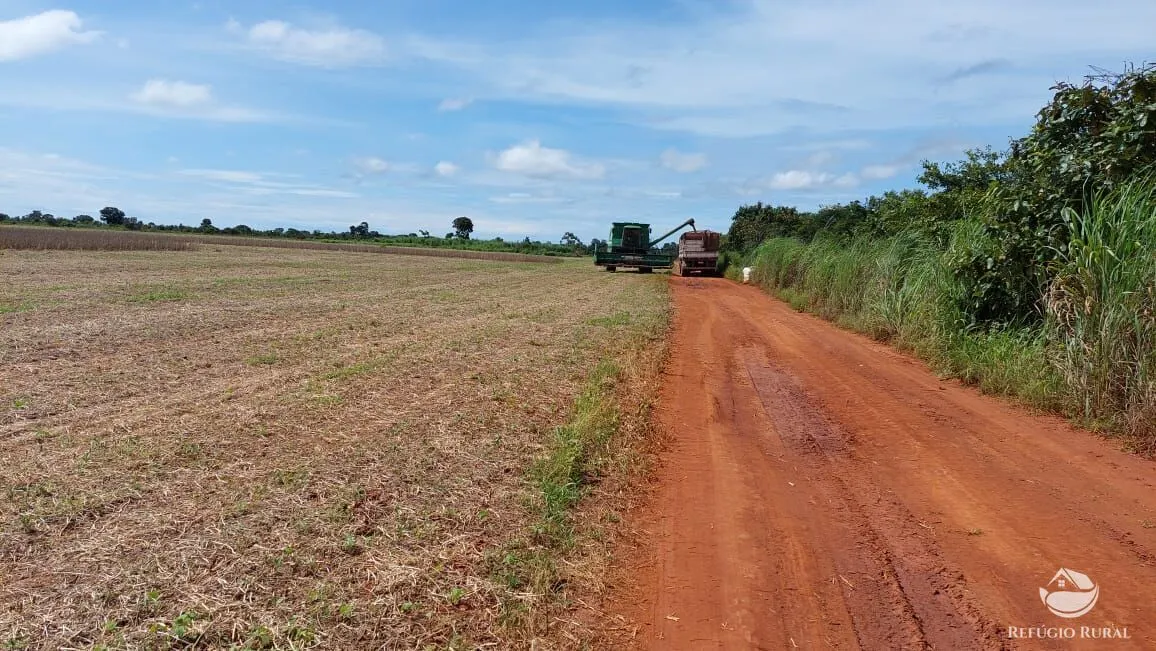 Fazenda à venda de 1.597 ha em Figueirópolis, TO, Brasil
