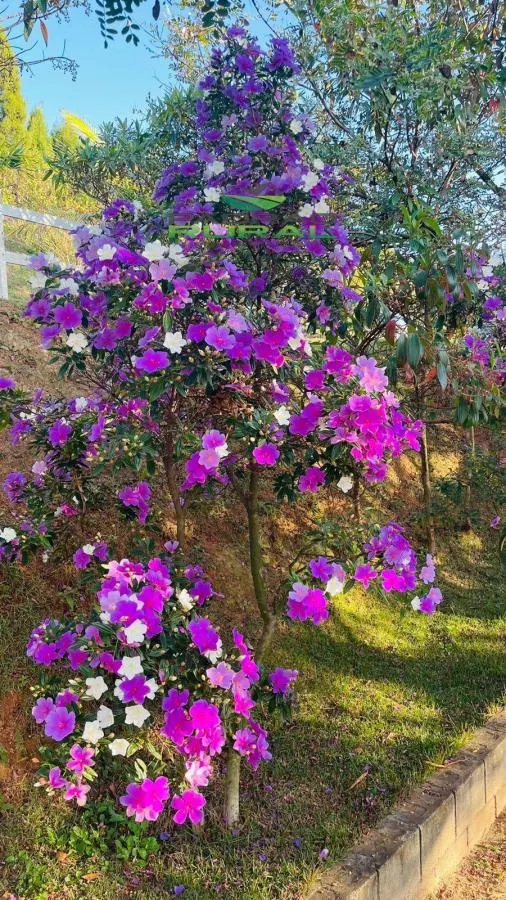Country home for sale of 1 acres in Alumínio, SP, Brazil