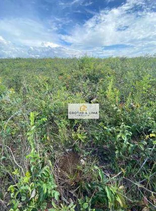 Fazenda à venda de 5.000 ha em Balsas, MA, Brasil