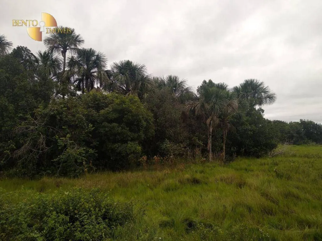 Fazenda à venda de 252 ha em Cuiabá, MT, Brasil