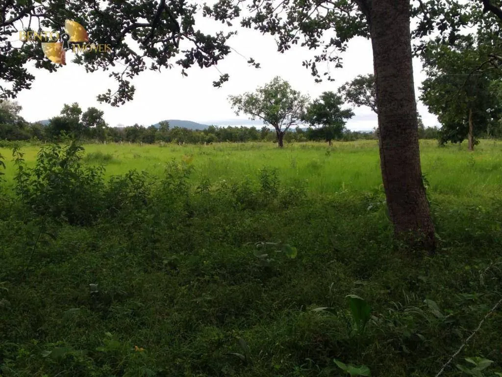 Fazenda à venda de 252 ha em Cuiabá, MT, Brasil
