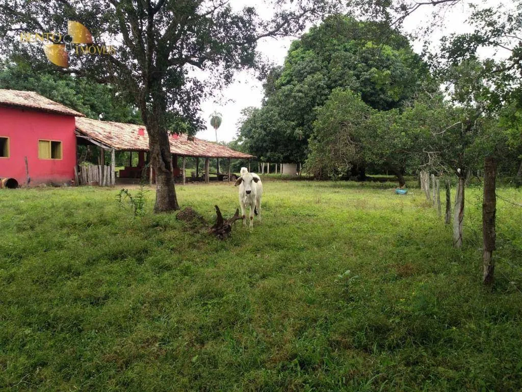 Fazenda à venda de 252 ha em Cuiabá, MT, Brasil