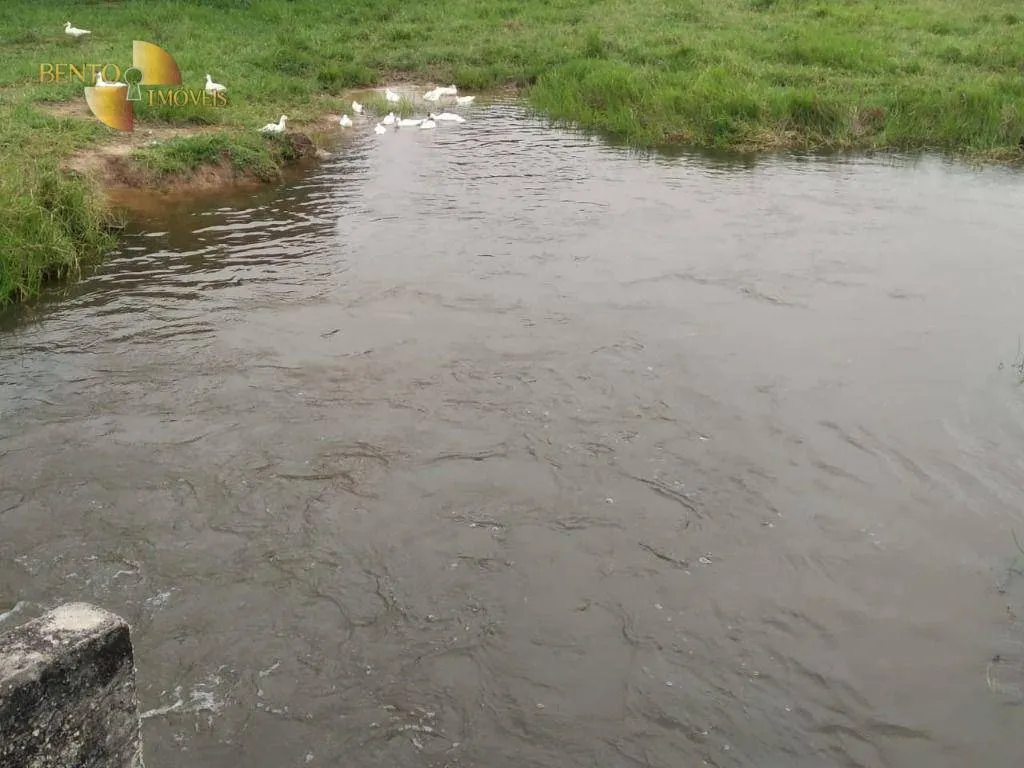 Fazenda à venda de 252 ha em Cuiabá, MT, Brasil