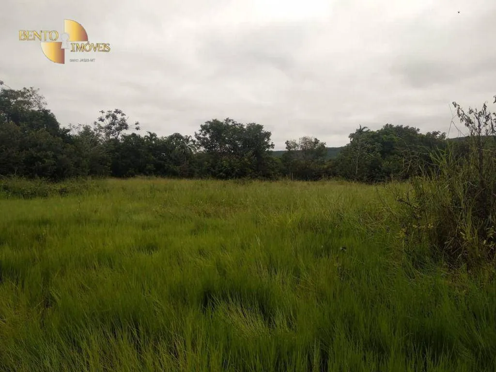 Fazenda à venda de 252 ha em Cuiabá, MT, Brasil