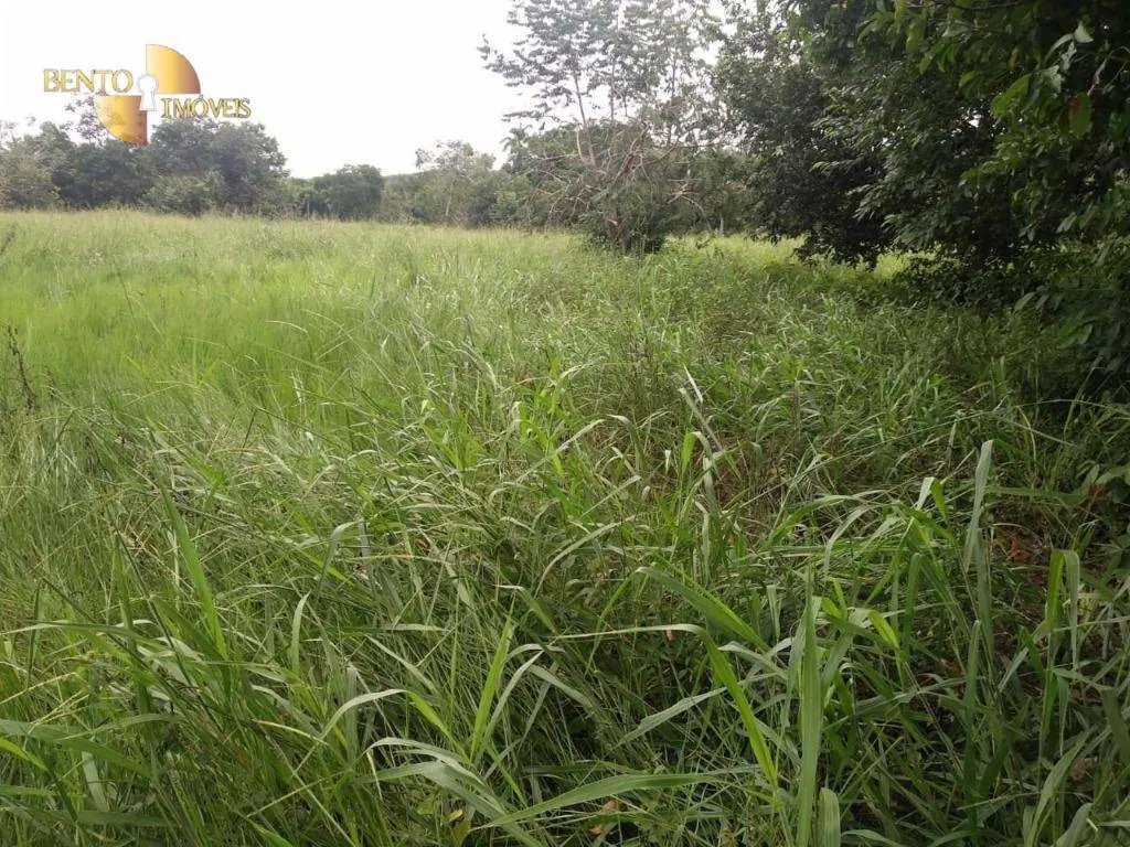 Fazenda à venda de 252 ha em Cuiabá, MT, Brasil