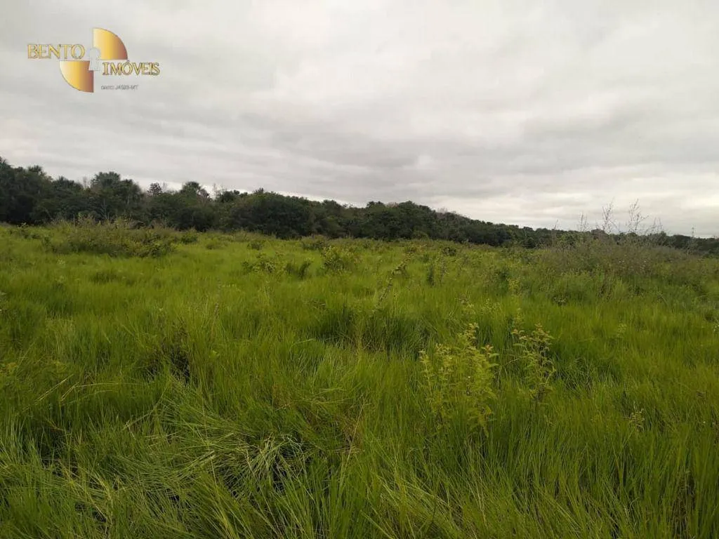 Fazenda à venda de 252 ha em Cuiabá, MT, Brasil