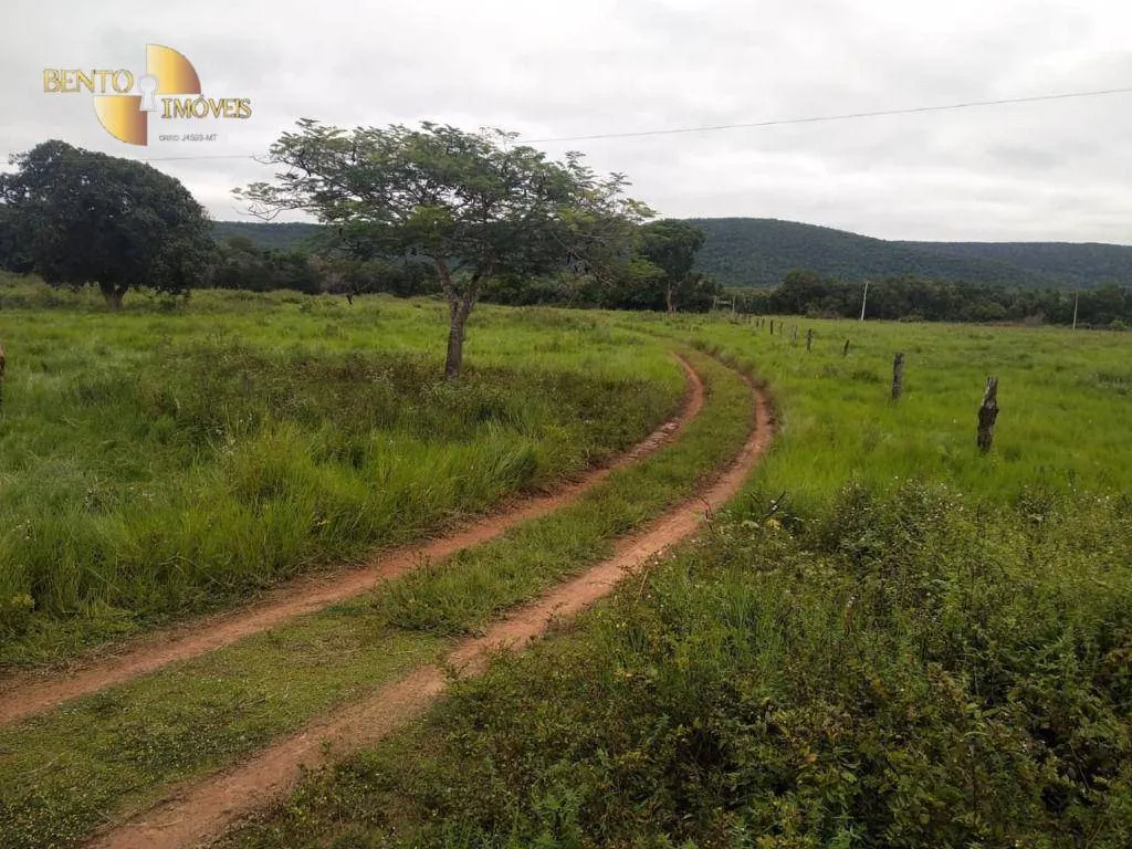 Fazenda à venda de 252 ha em Cuiabá, MT, Brasil