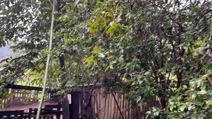 Chácara à venda e para Arrendar de 750 m² em Igrejinha, RS, Brasil