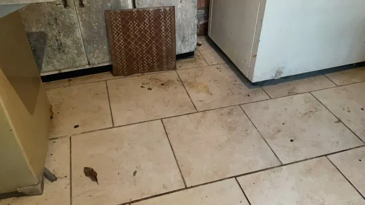 Chácara à venda e para Arrendar de 750 m² em Igrejinha, RS, Brasil