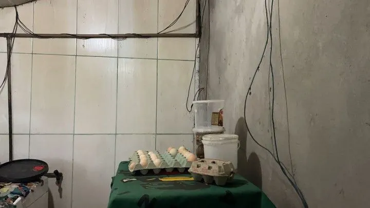 Chácara à venda e para Arrendar de 750 m² em Igrejinha, RS, Brasil