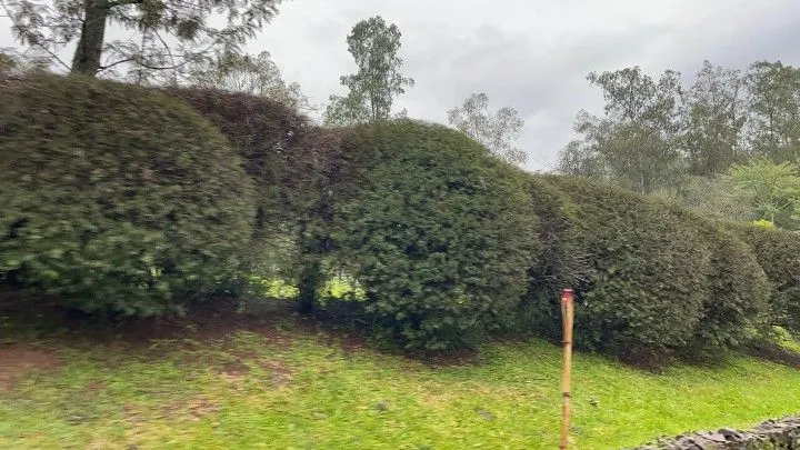 Chácara à venda e para Arrendar de 750 m² em Igrejinha, RS, Brasil