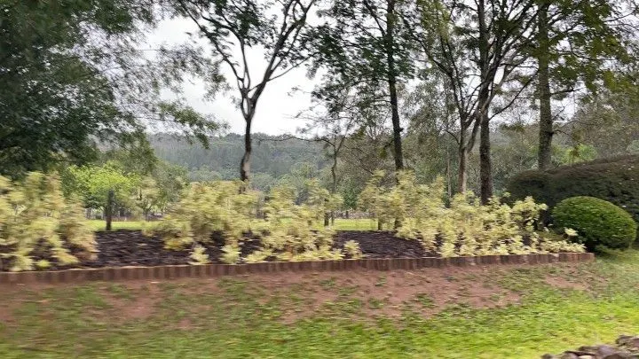 Chácara à venda e para Arrendar de 750 m² em Igrejinha, RS, Brasil