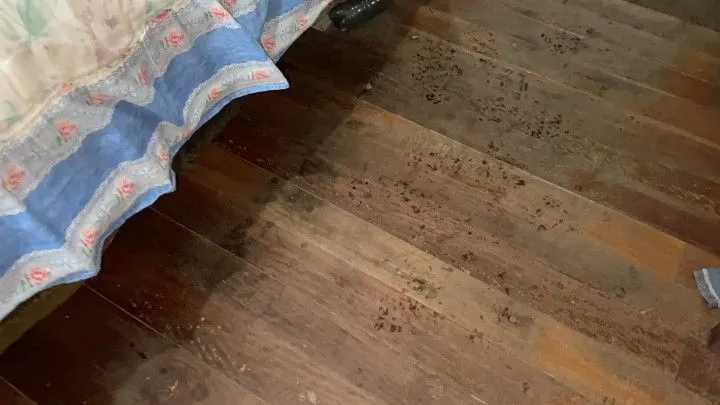Chácara à venda e para Arrendar de 750 m² em Igrejinha, RS, Brasil