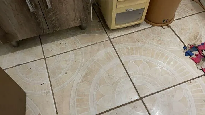 Chácara à venda e para Arrendar de 750 m² em Igrejinha, RS, Brasil