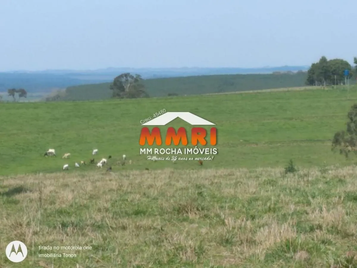 Small farm for sale of 99 acres in Itapetininga, SP, Brazil