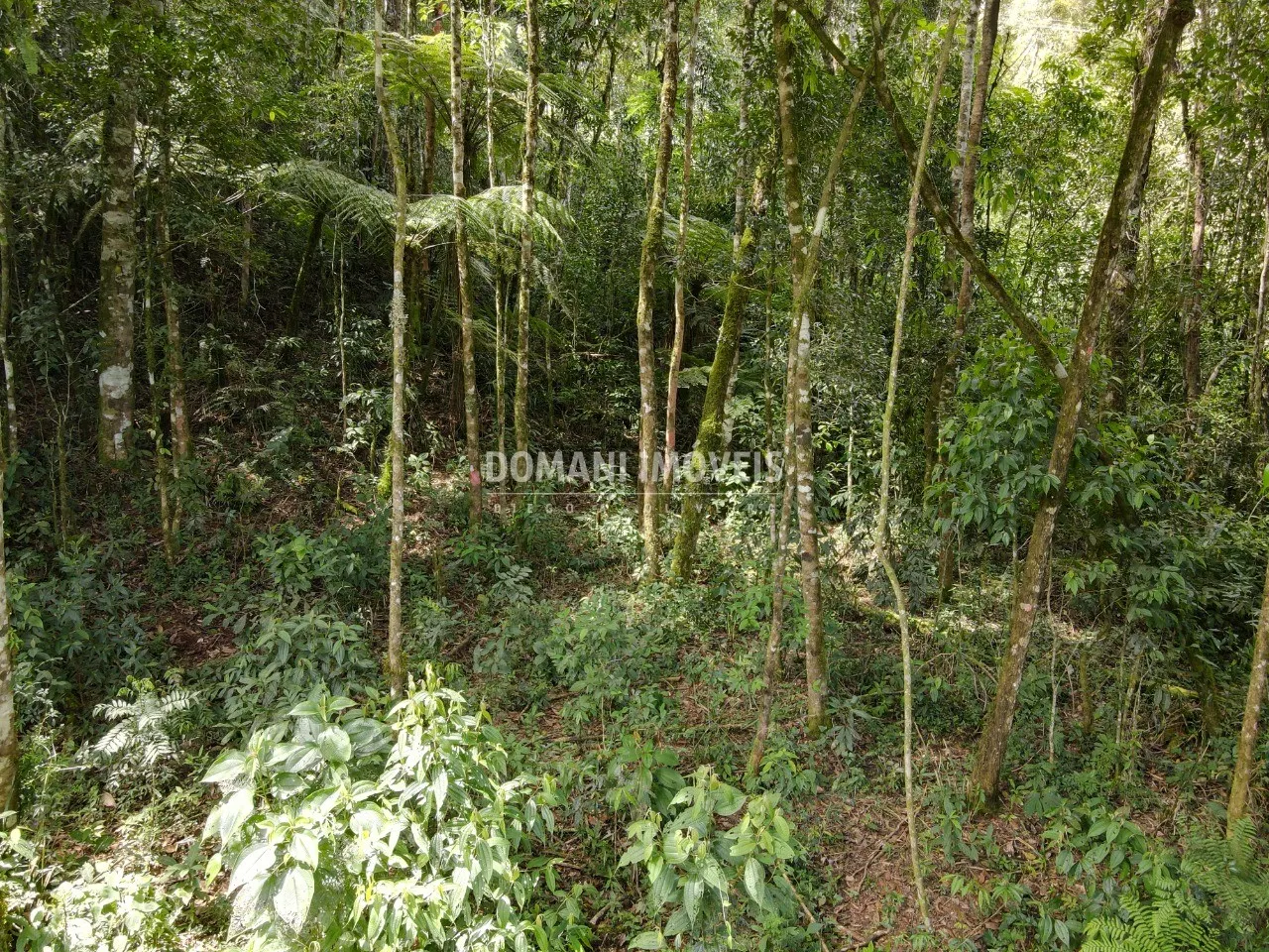 Plot for sale of 1,130 m² in Campos do Jordão, SP, Brazil