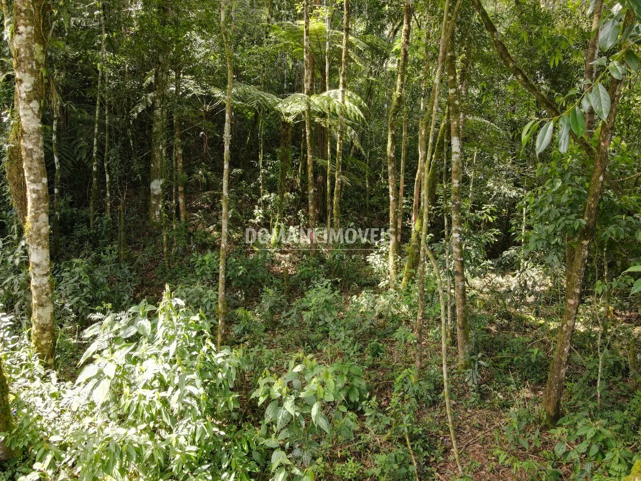 Plot for sale of 1,130 m² in Campos do Jordão, SP, Brazil