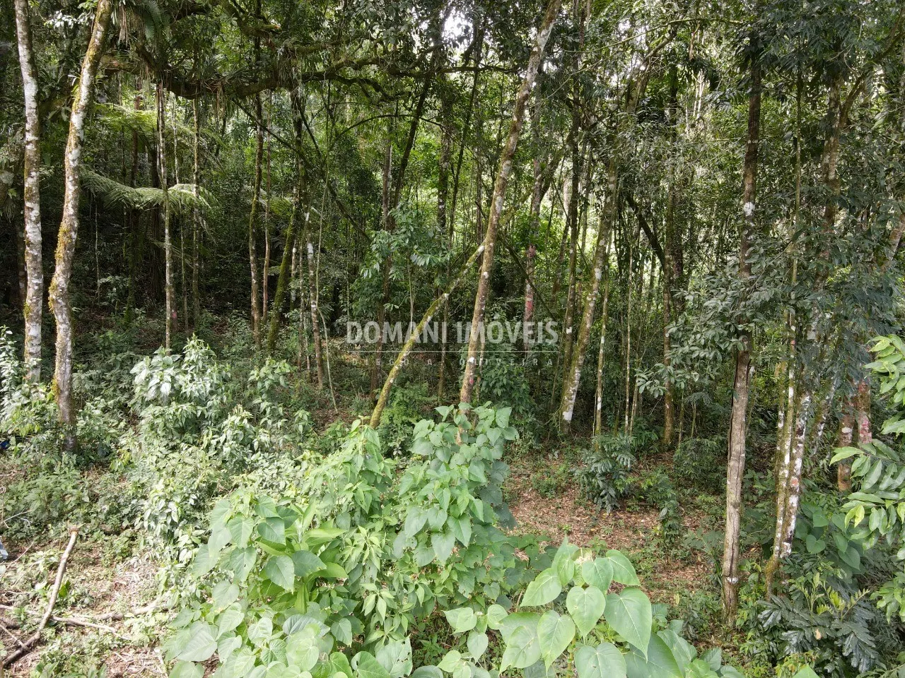 Plot for sale of 1,130 m² in Campos do Jordão, SP, Brazil