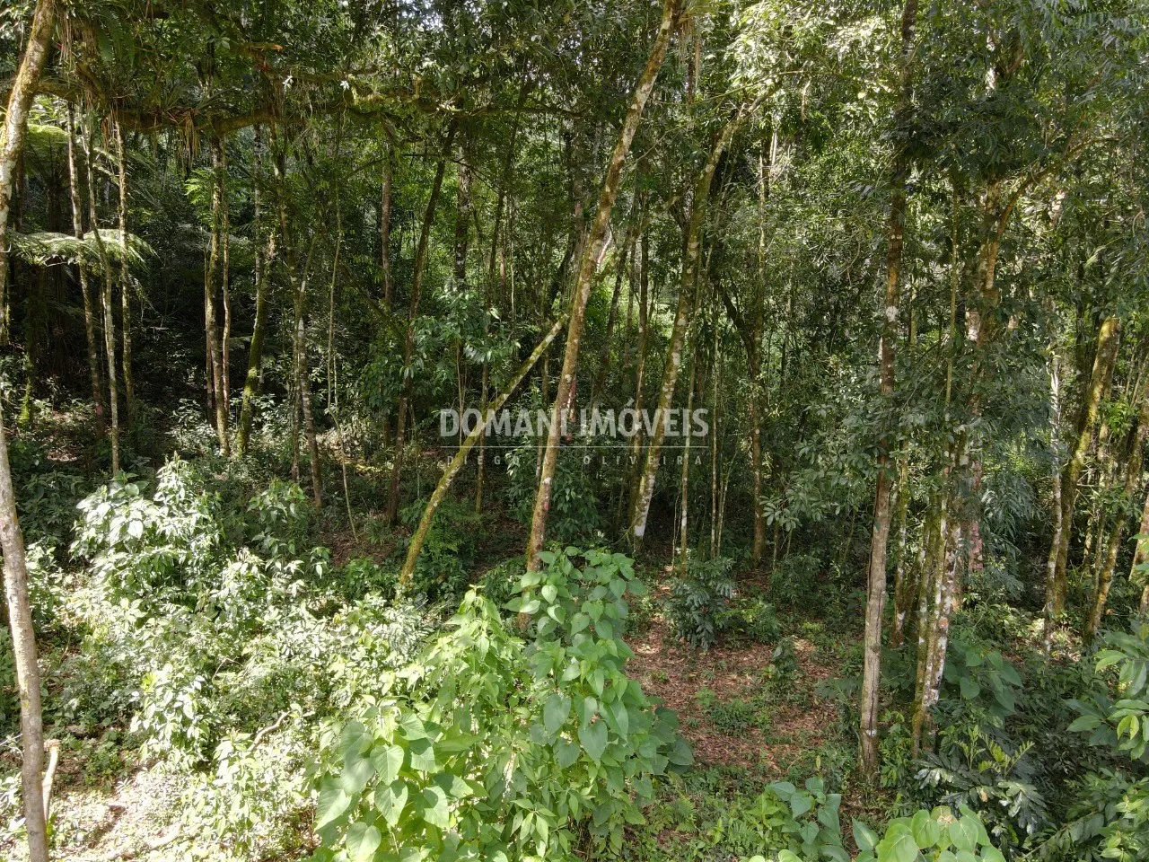 Plot for sale of 1,130 m² in Campos do Jordão, SP, Brazil