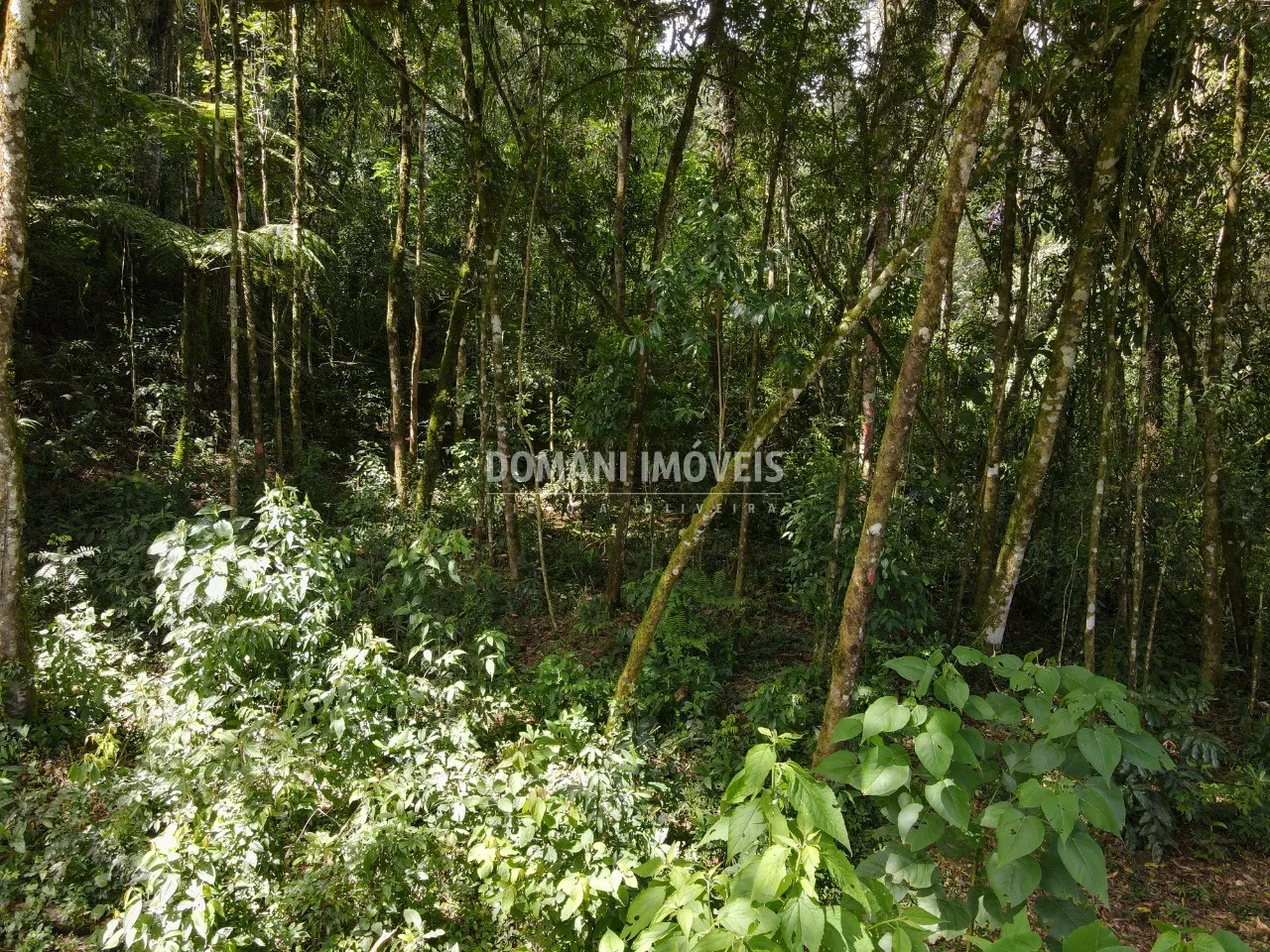 Plot for sale of 1,130 m² in Campos do Jordão, SP, Brazil
