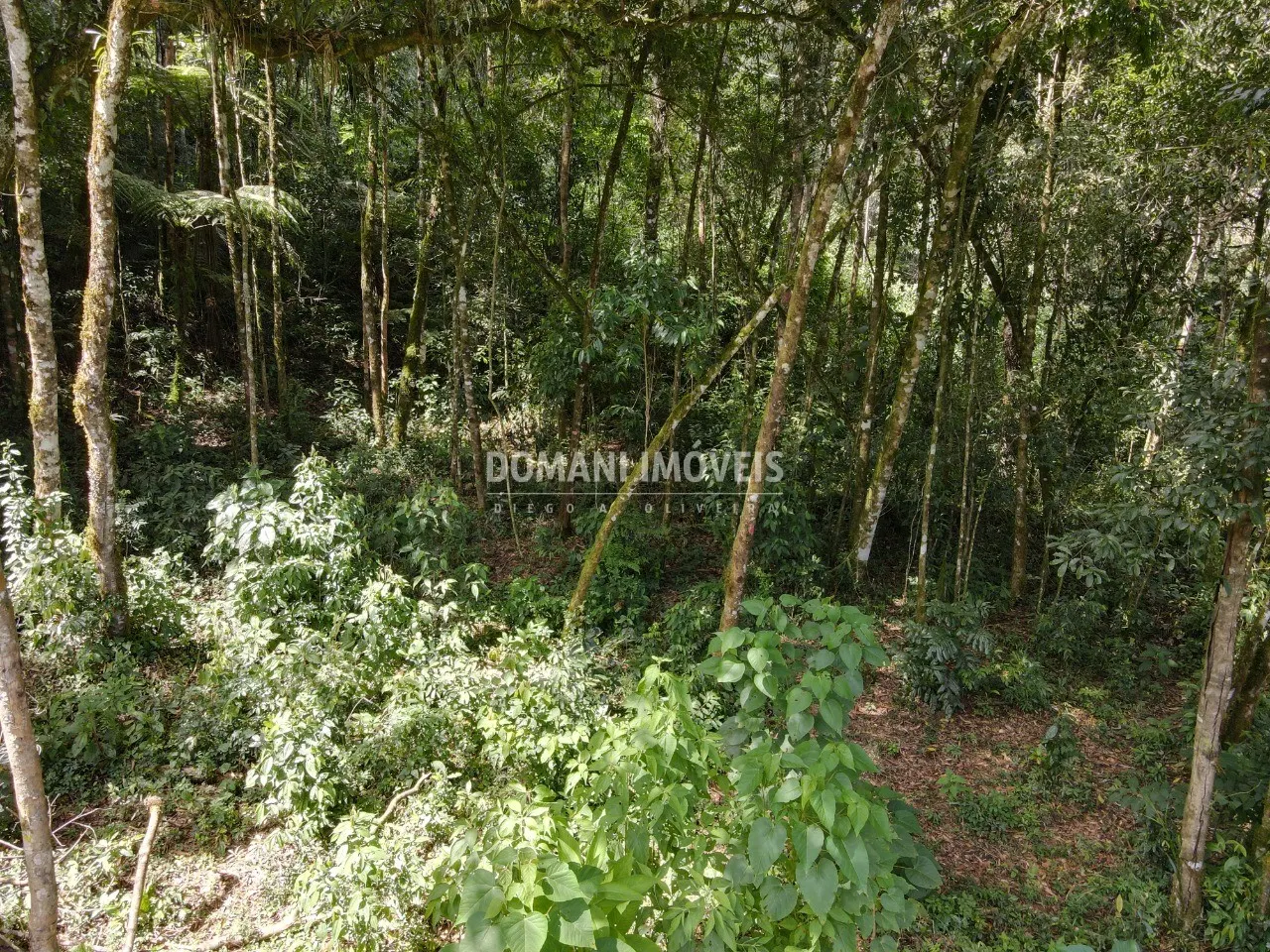 Plot for sale of 1,130 m² in Campos do Jordão, SP, Brazil