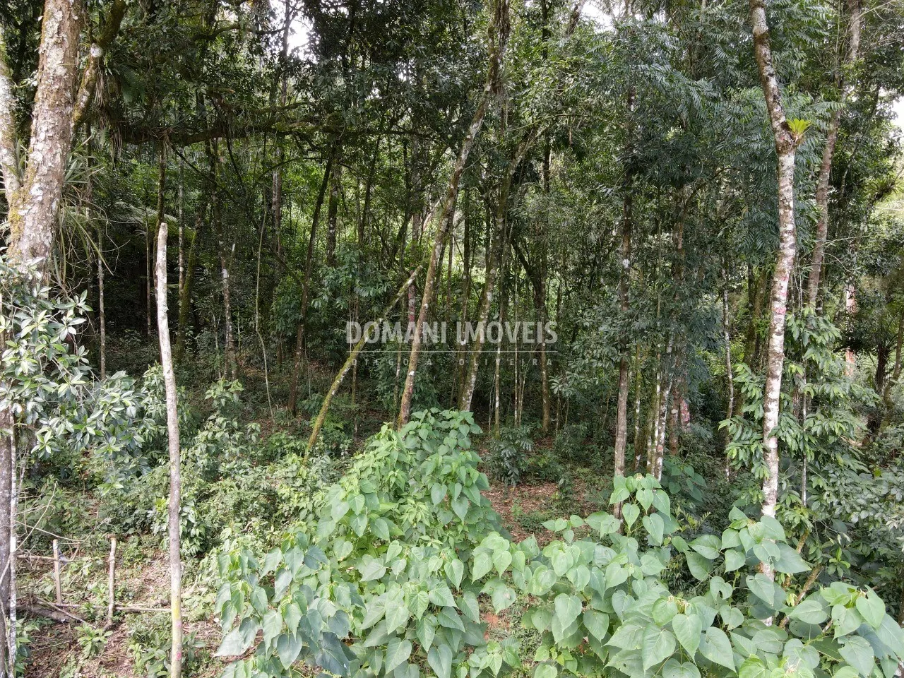 Plot for sale of 1,130 m² in Campos do Jordão, SP, Brazil
