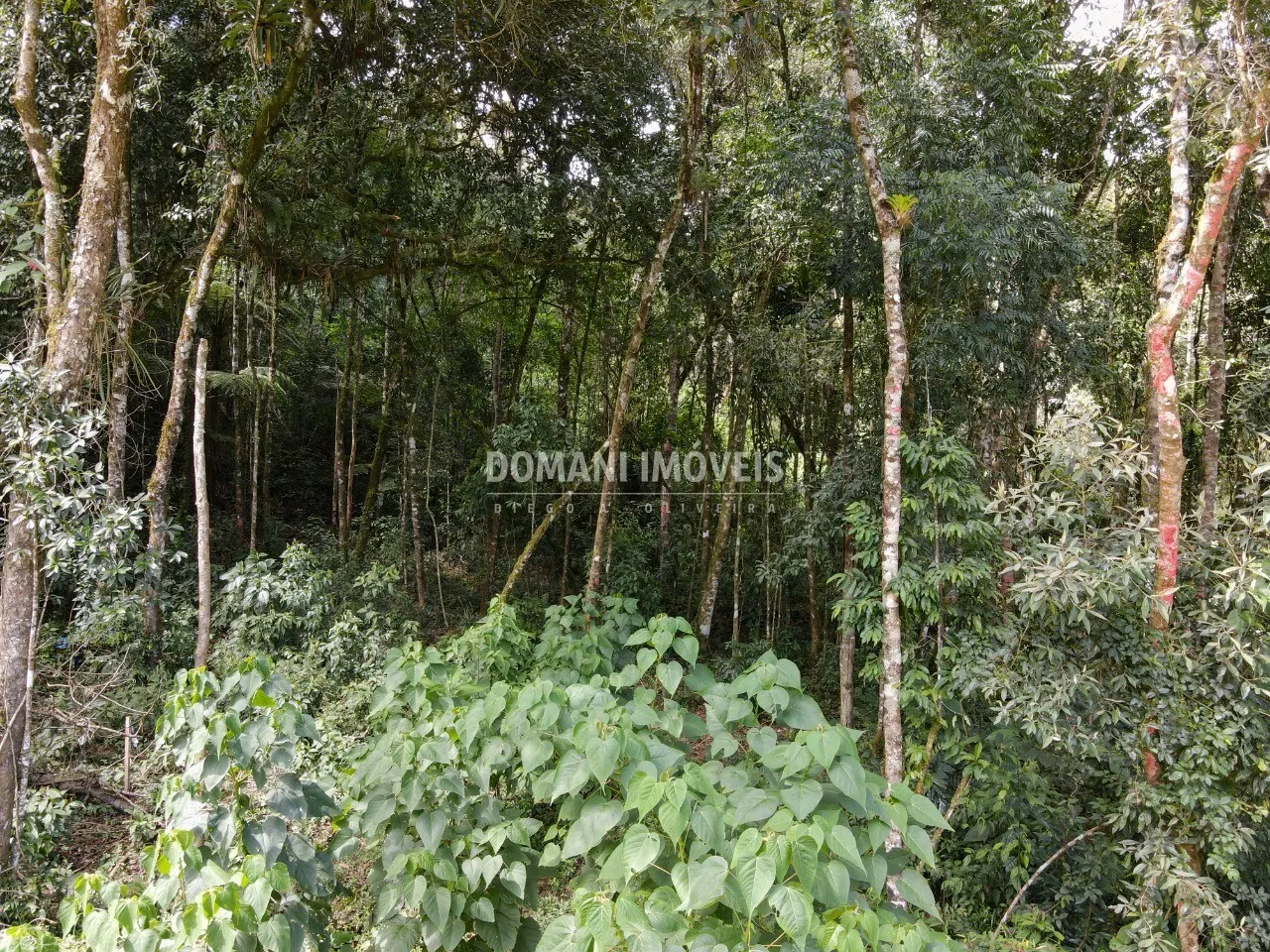 Plot for sale of 1,130 m² in Campos do Jordão, SP, Brazil