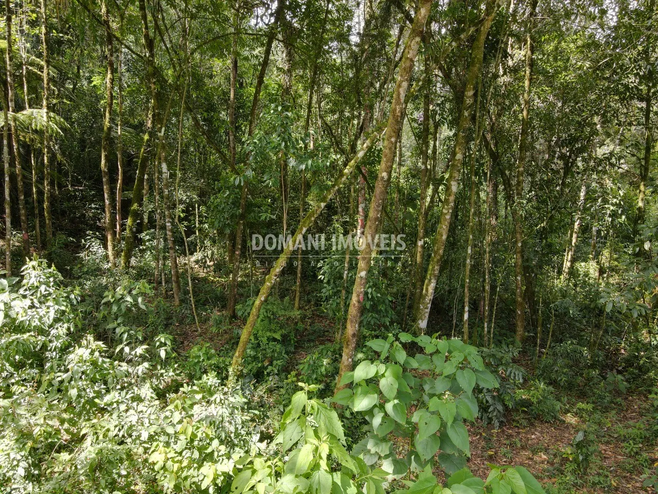 Plot for sale of 1,130 m² in Campos do Jordão, SP, Brazil