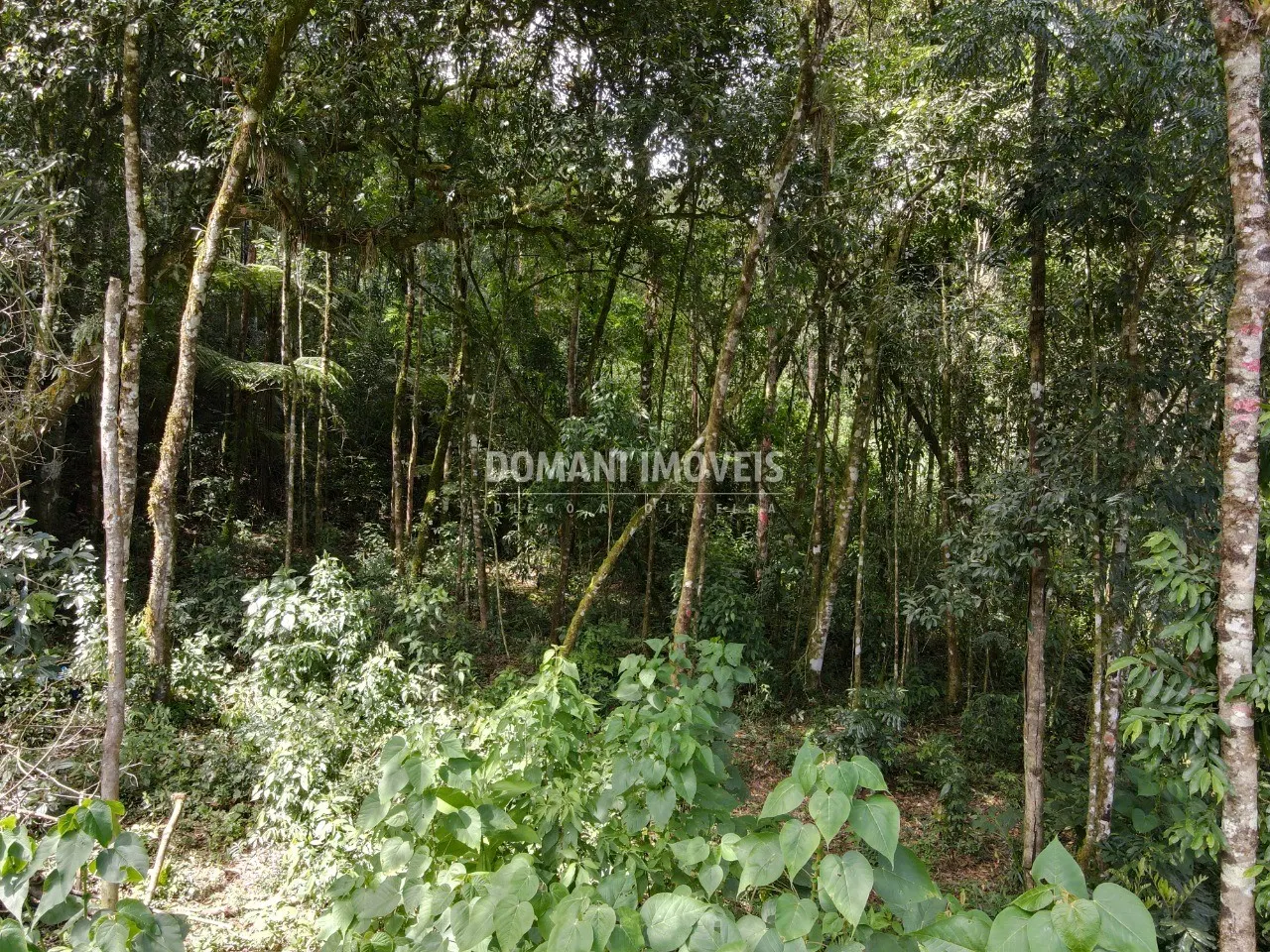 Plot for sale of 1,130 m² in Campos do Jordão, SP, Brazil