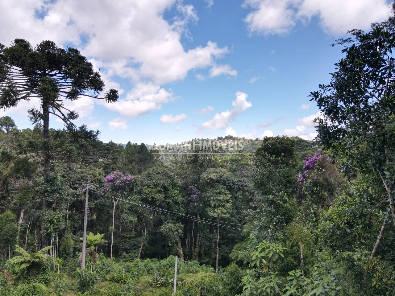 Plot for sale of 1,130 m² in Campos do Jordão, SP, Brazil