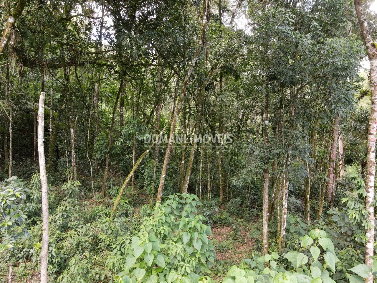 Plot for sale of 1,130 m² in Campos do Jordão, SP, Brazil