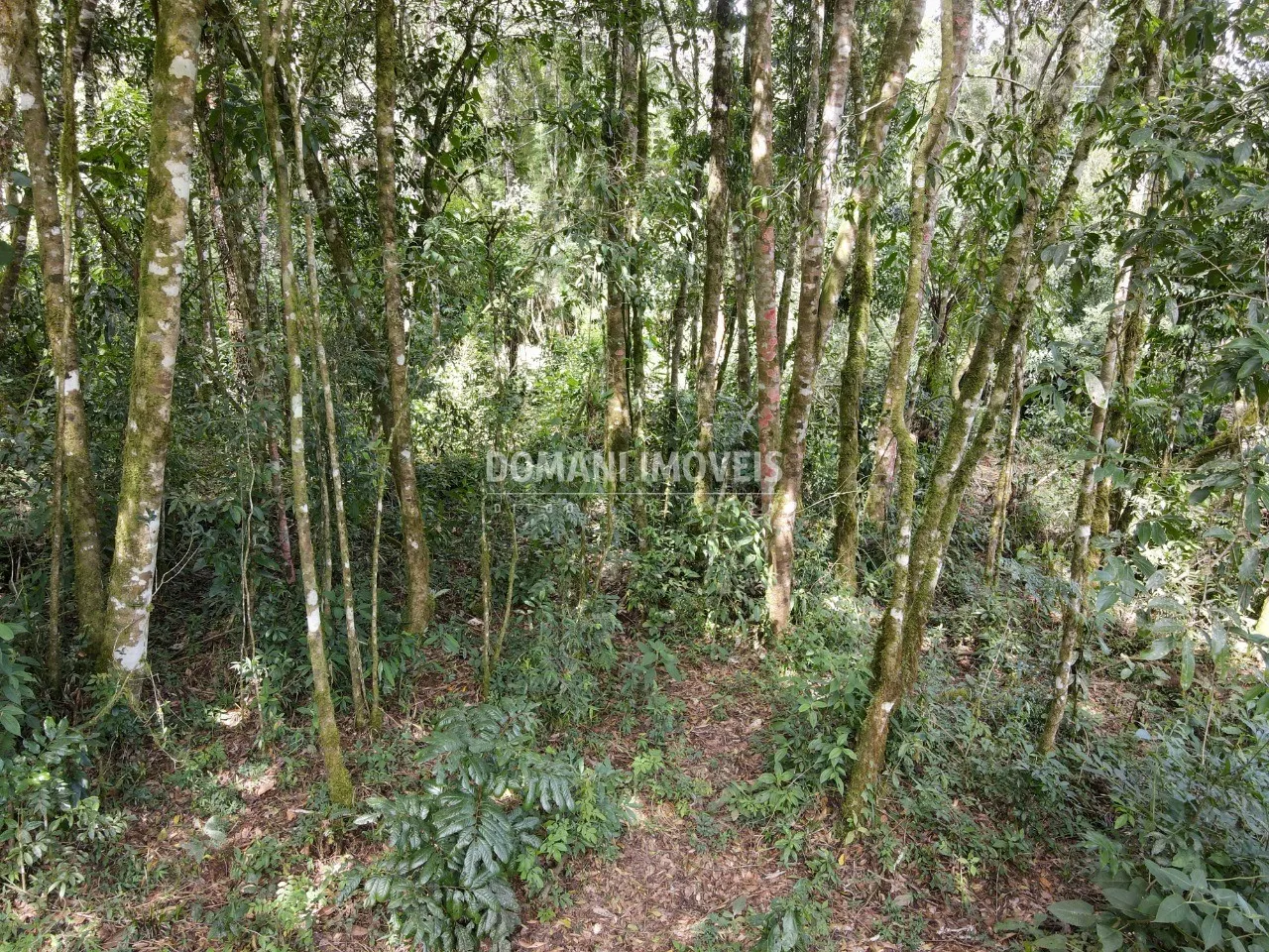 Plot for sale of 1,130 m² in Campos do Jordão, SP, Brazil