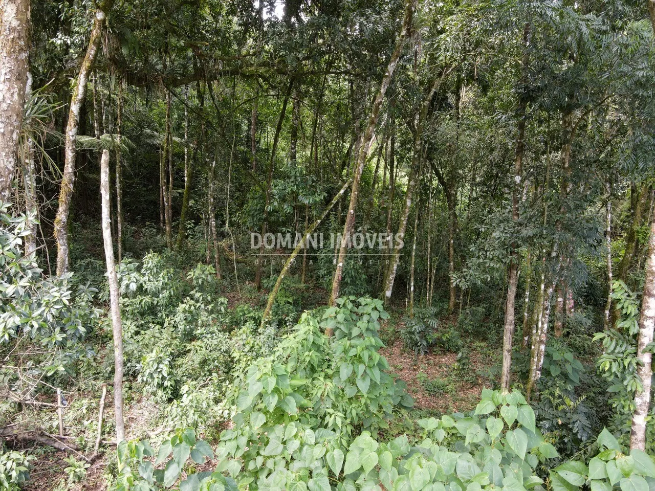 Plot for sale of 1,130 m² in Campos do Jordão, SP, Brazil