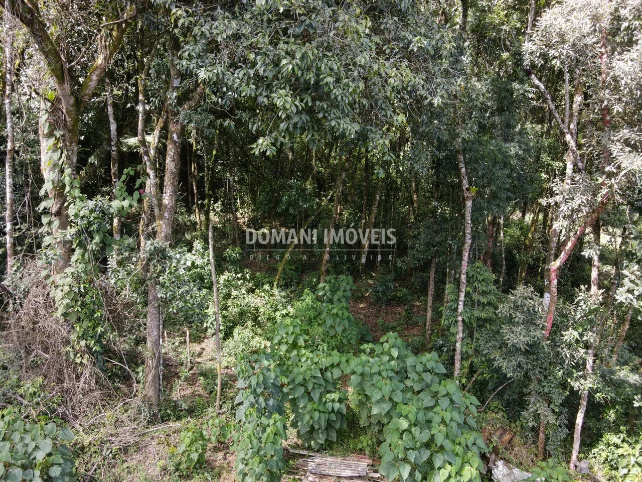 Plot for sale of 1,130 m² in Campos do Jordão, SP, Brazil