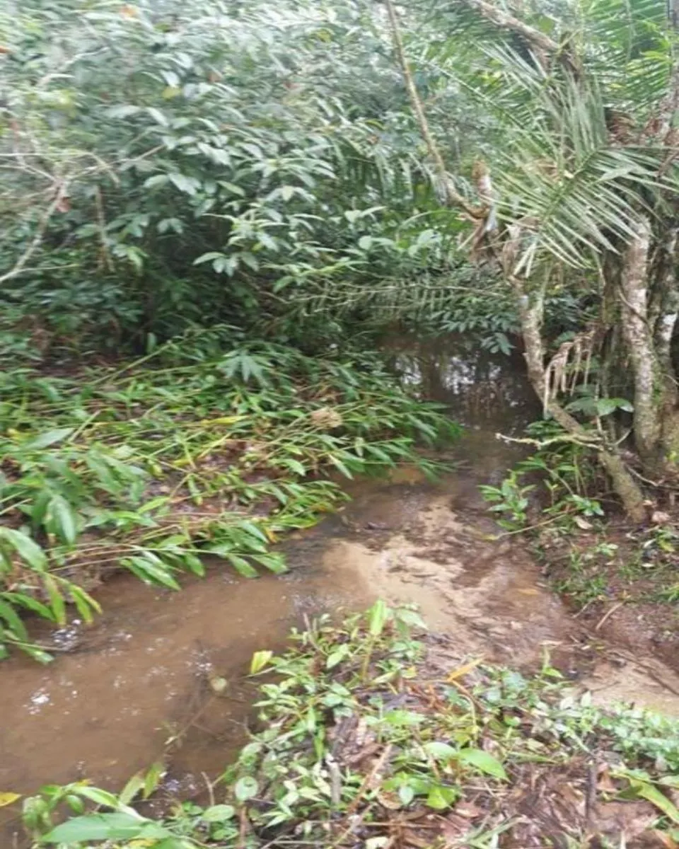 Fazenda à venda de 77 ha em Jacupiranga, SP, Brasil