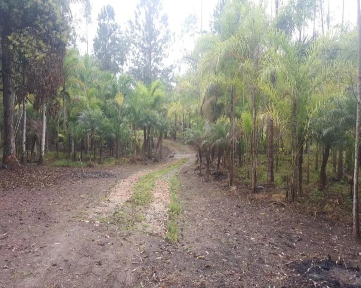 Fazenda à venda de 77 ha em Jacupiranga, SP, Brasil