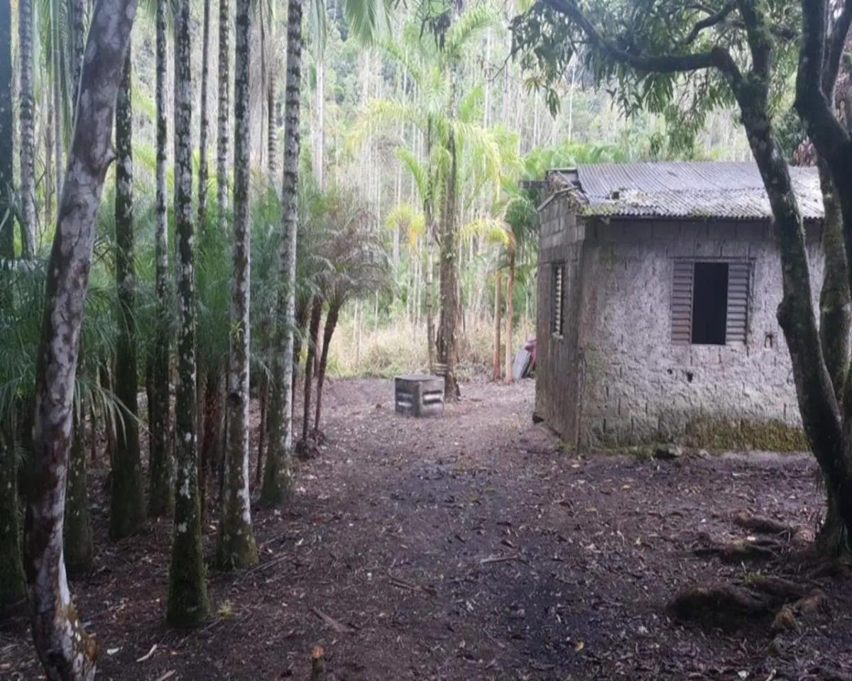 Fazenda à venda de 77 ha em Jacupiranga, SP, Brasil