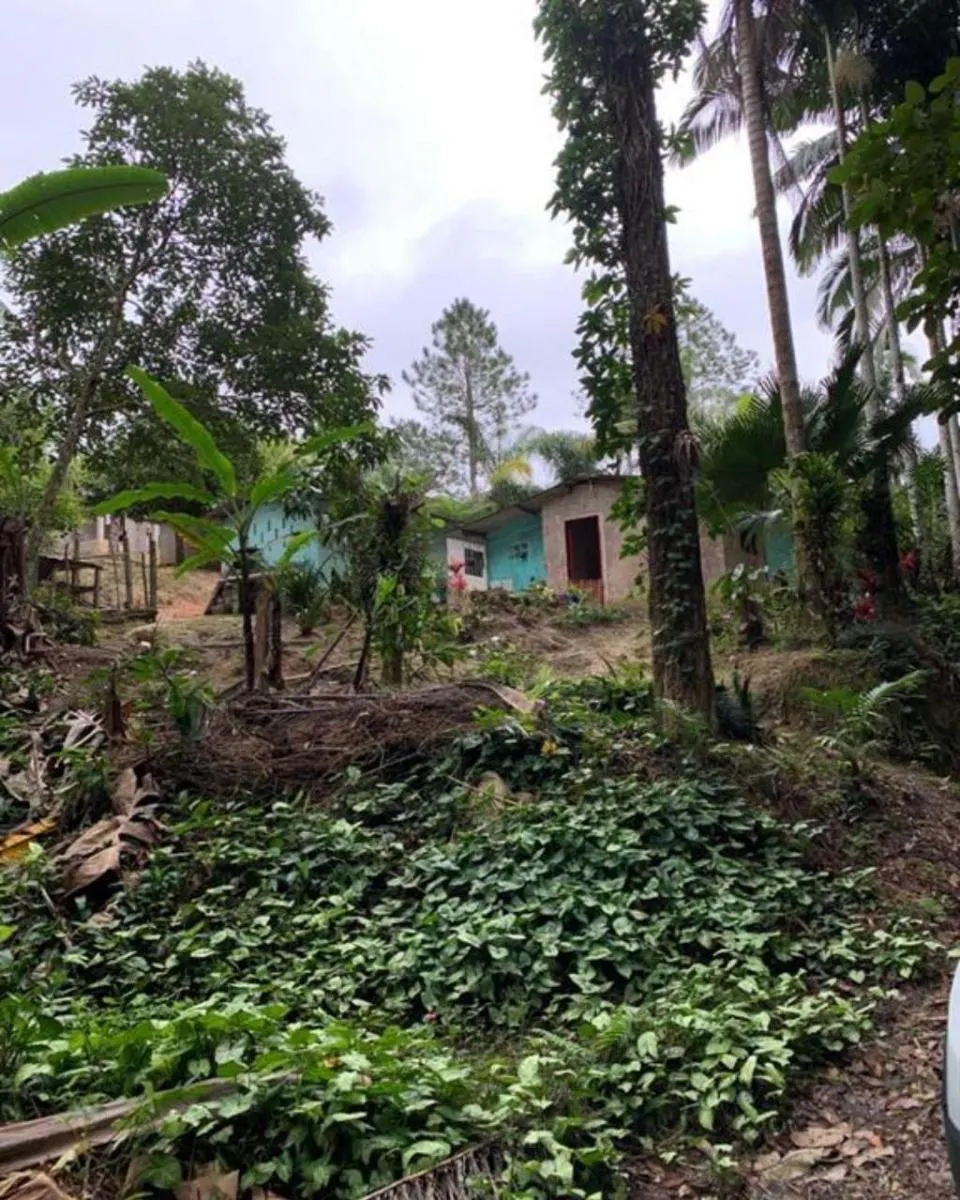 Fazenda à venda de 77 ha em Jacupiranga, SP, Brasil