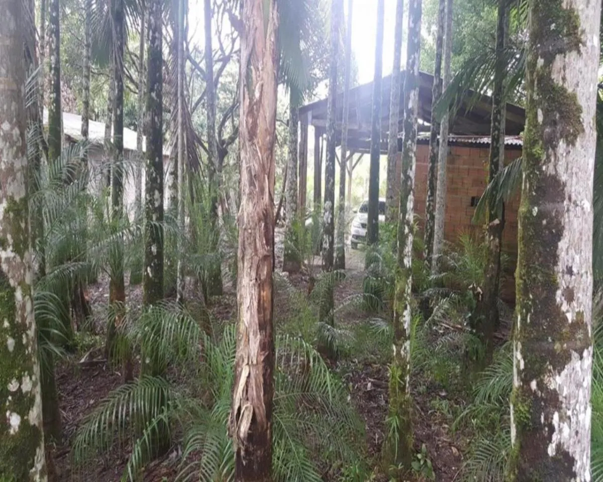 Fazenda à venda de 77 ha em Jacupiranga, SP, Brasil