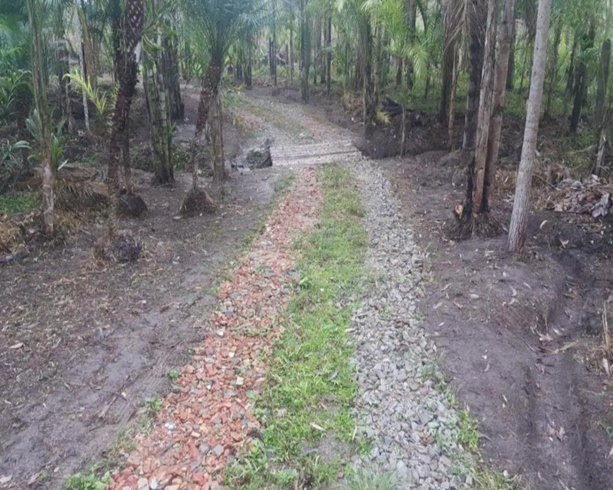Fazenda à venda de 77 ha em Jacupiranga, SP, Brasil