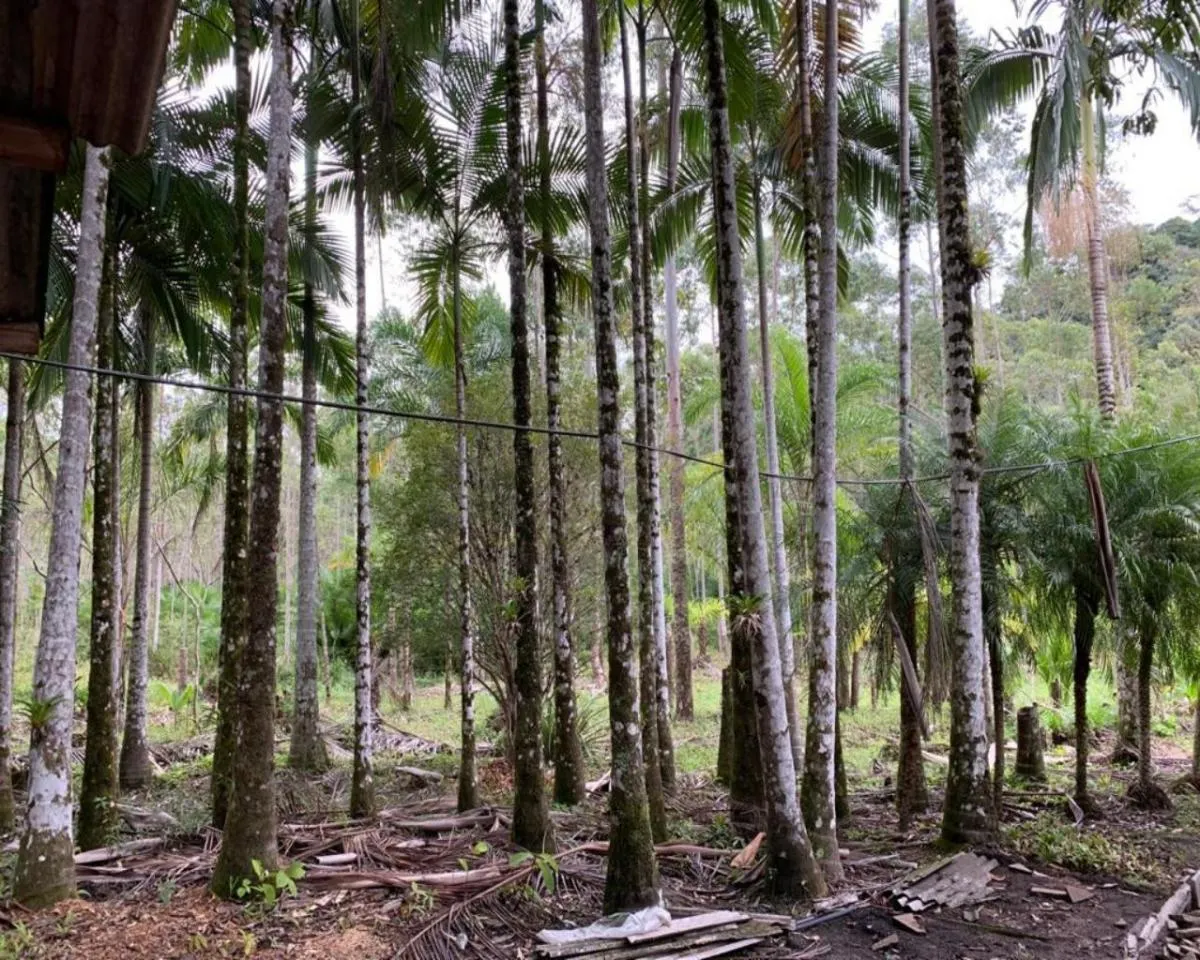 Fazenda à venda de 77 ha em Jacupiranga, SP, Brasil
