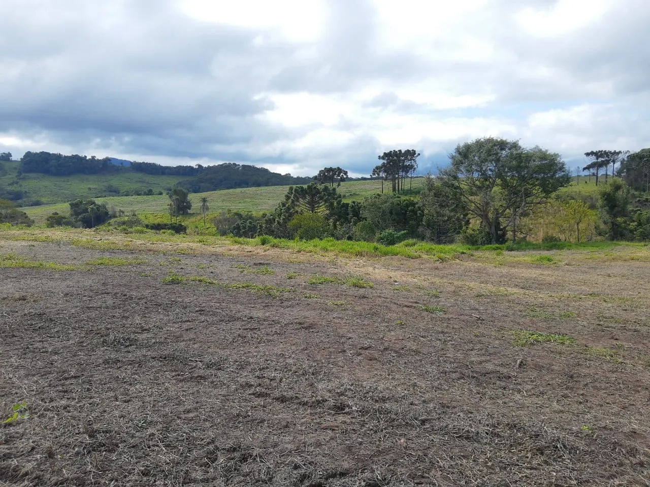 Fazenda à venda de 363 ha em Ortigueira, PR, Brasil