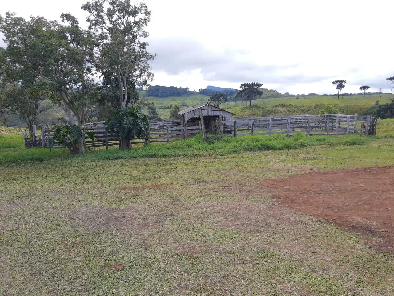 Fazenda à venda de 363 ha em Ortigueira, PR, Brasil