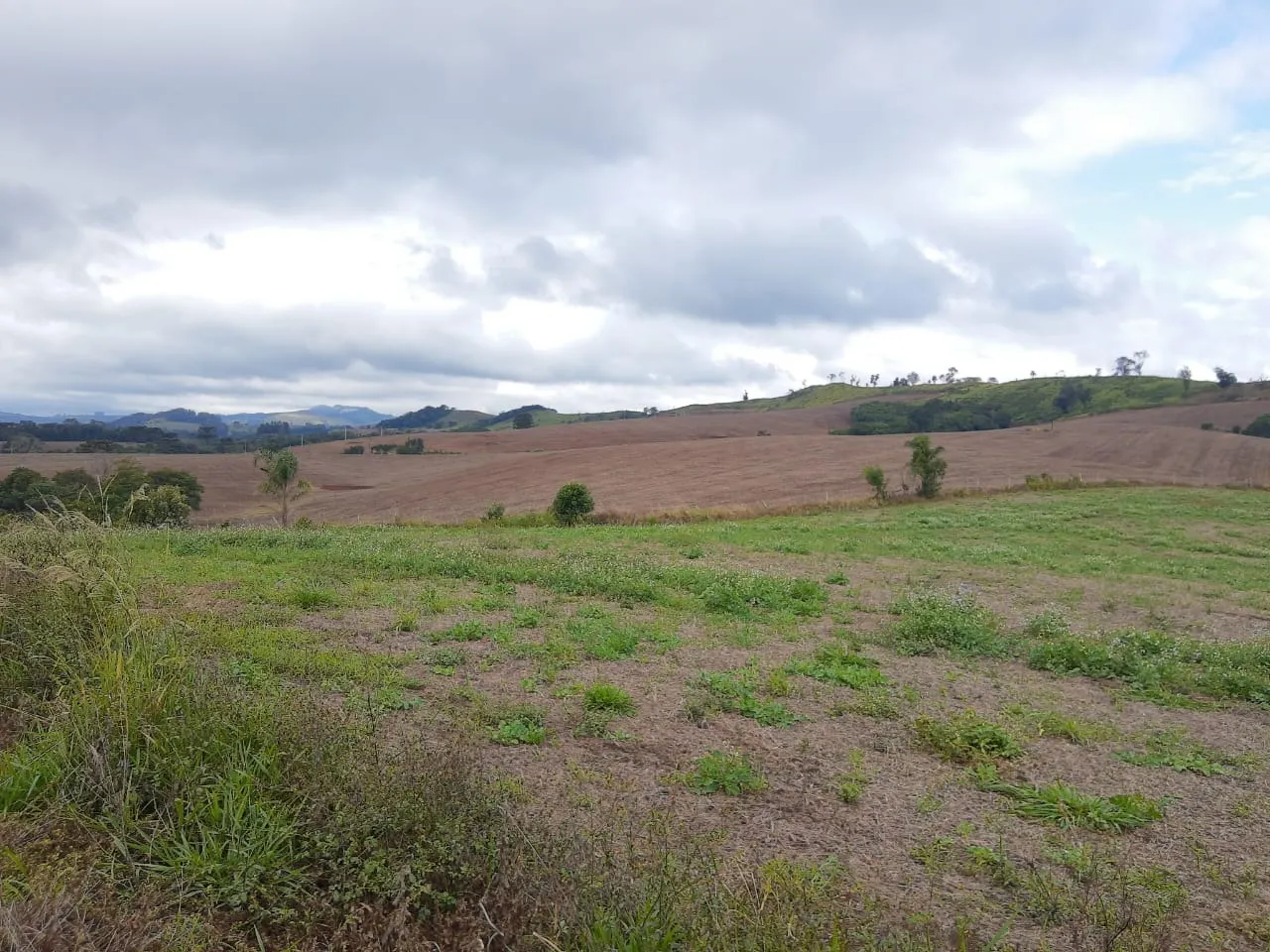Fazenda à venda de 363 ha em Ortigueira, PR, Brasil